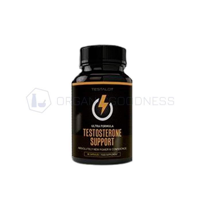 ⧉ Testosterone Support