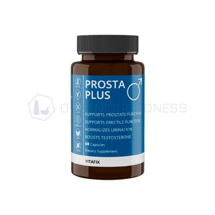 ⧉ Prosta Plus