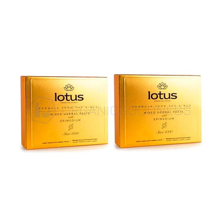 ⧉ Lotus Honey