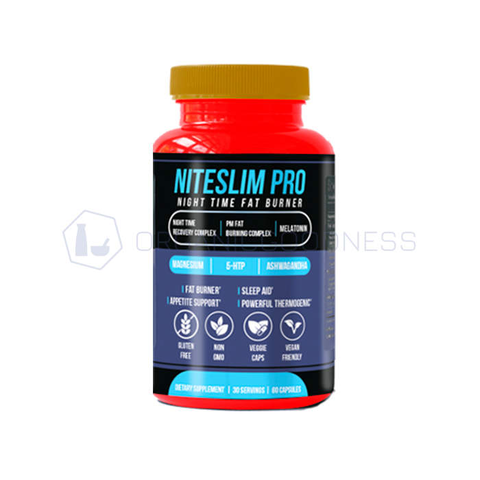 ⧉ Niteslim Pro